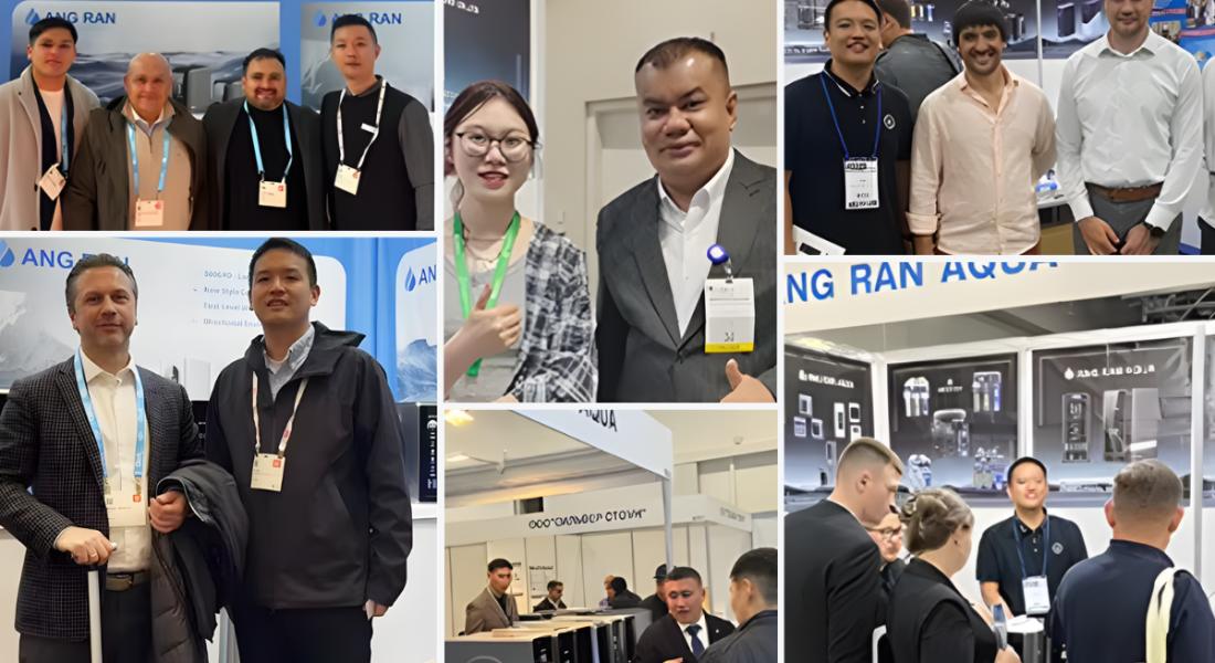 untitled design 4.png